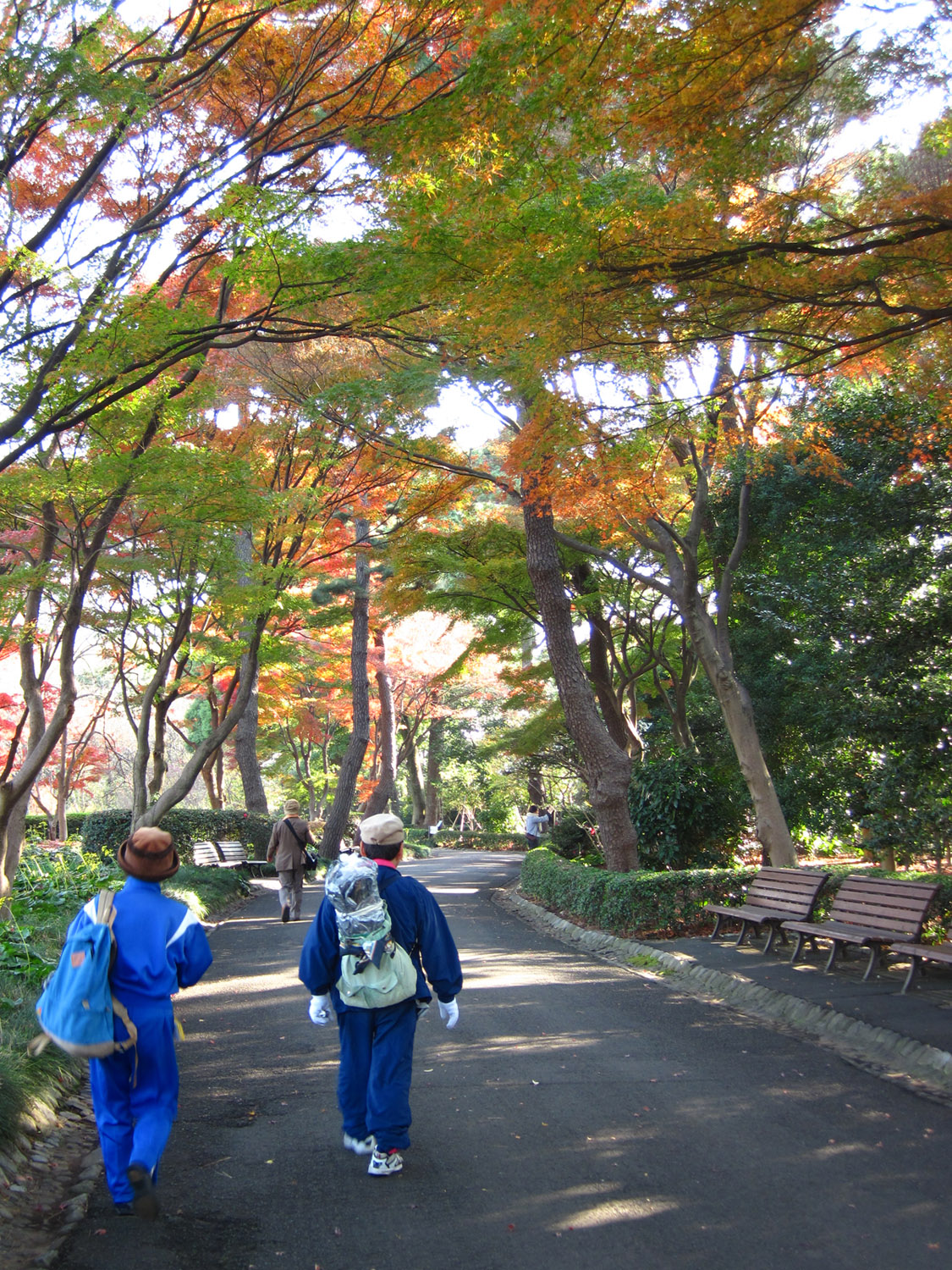 Un paseo por los jardines del este del Palacio de Tokio