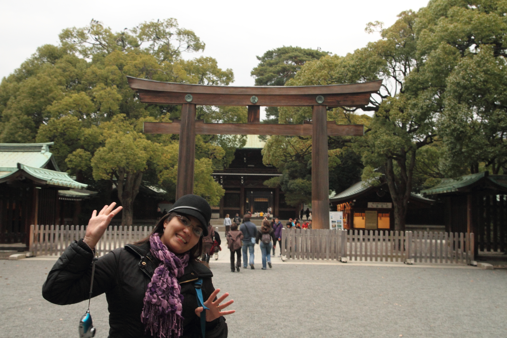 Torii en la entrada del templo Meiji