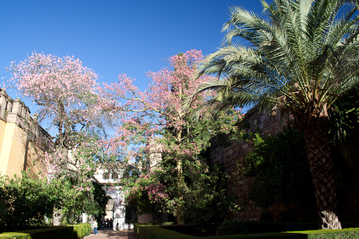 Jardines del Alcázar de Sevilla, España