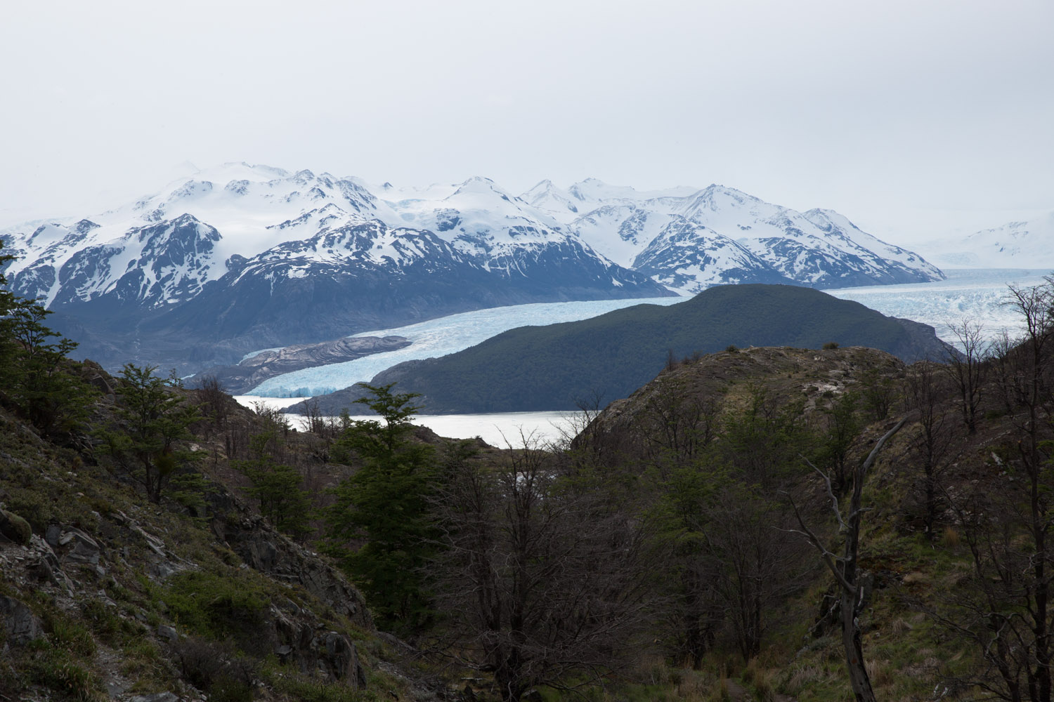 Primera vista del glaciar Grey, viniendo desde el refugio Paine Grande, Chile