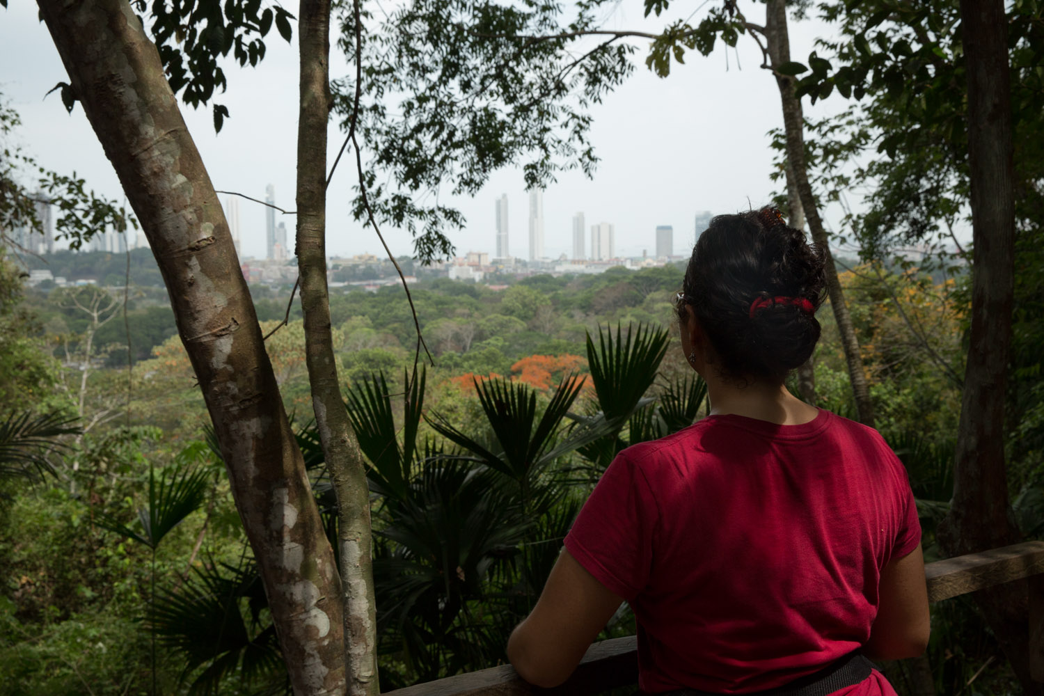 Mirador Los Caobos del Parque Metropolitano de Ciudad de Panamá