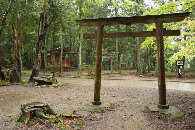 Torii en el santuario de Hosshinmon-oji, Japón