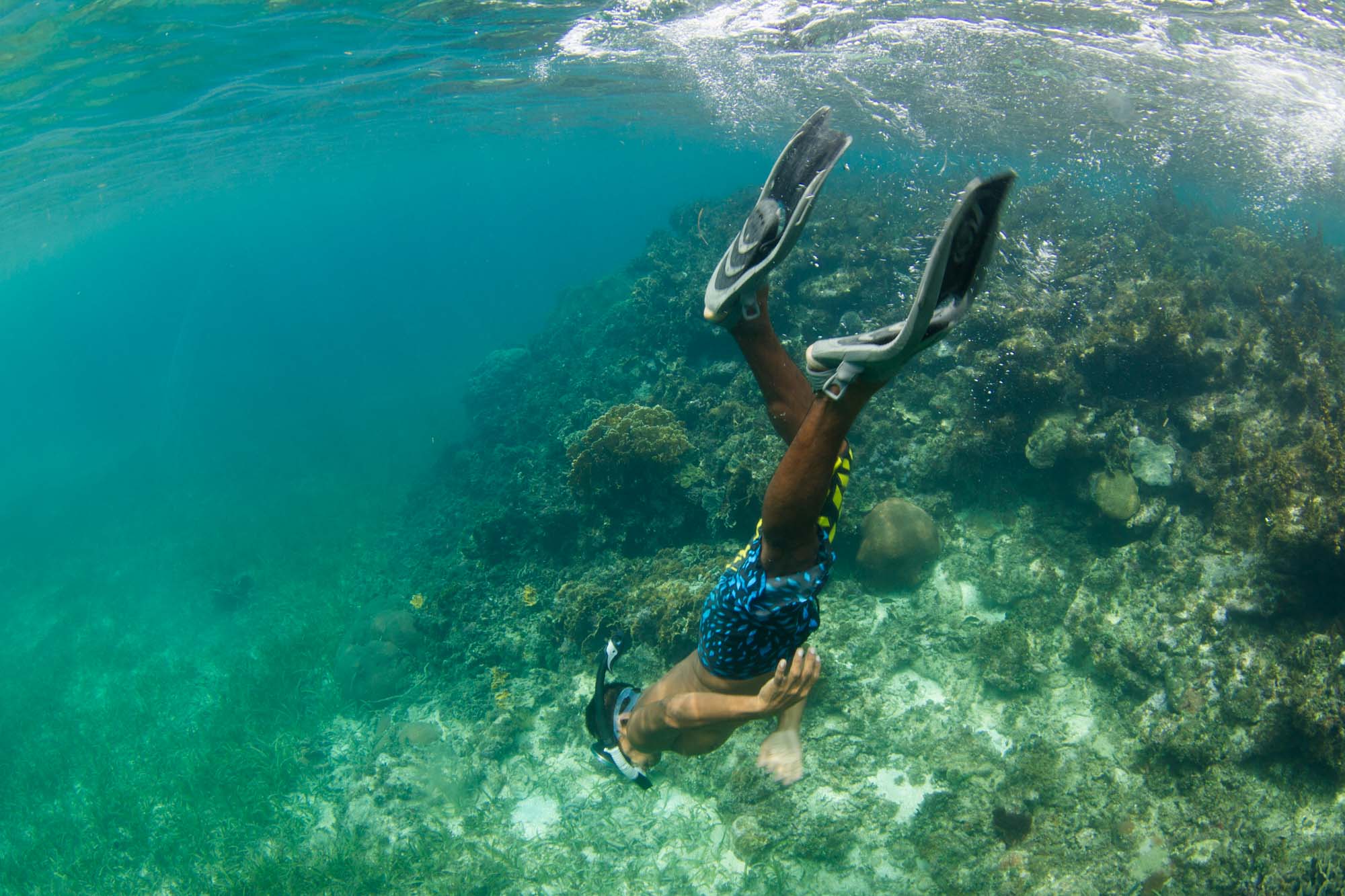Haciendo snorkel en un arrecife de coral cerca de isla Iguana, archipiélago de Guna Yala o San Blas, Panamá