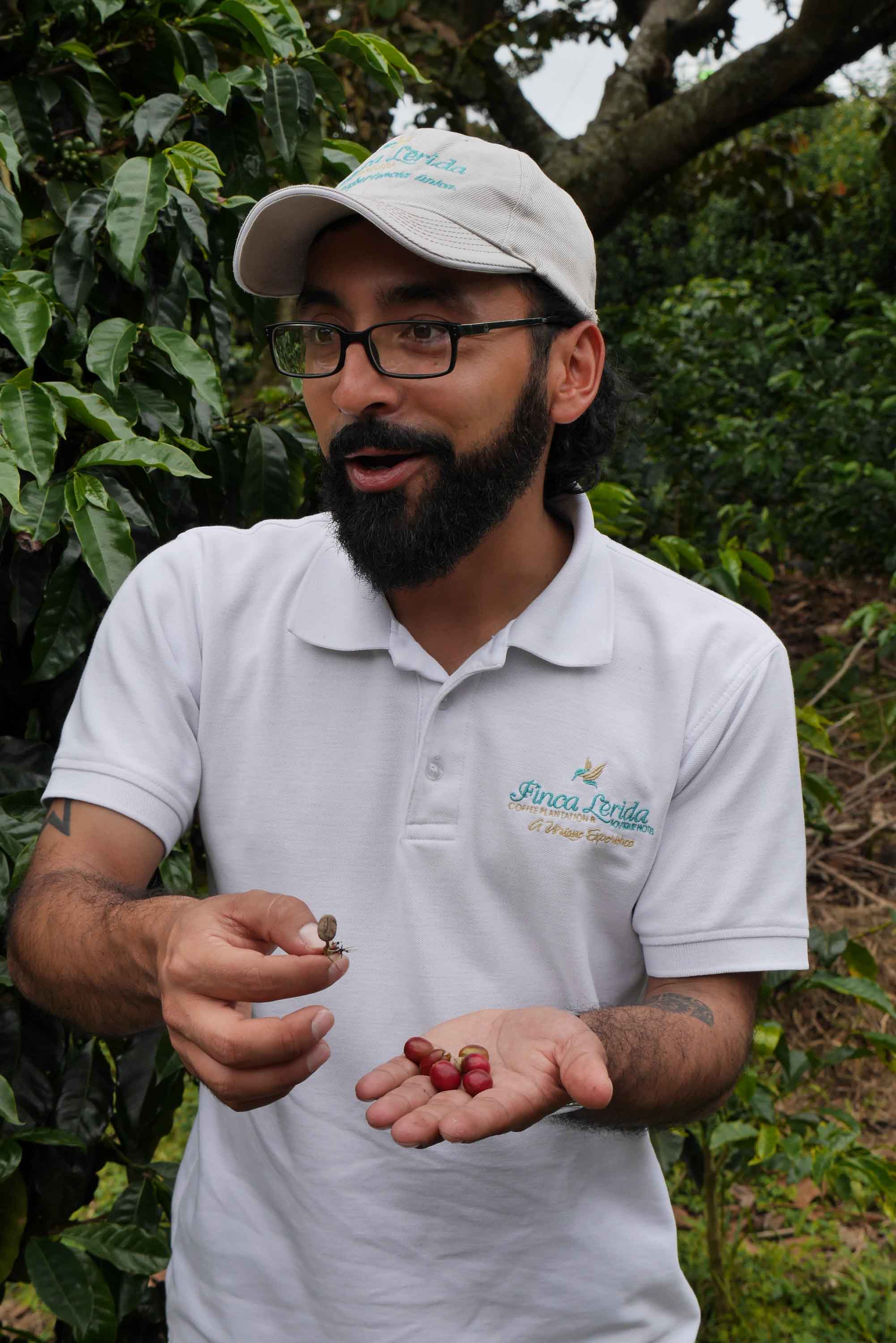 El guía César Caballero explica el cultivo del café en Finca Lérida, Boquete, Panamá