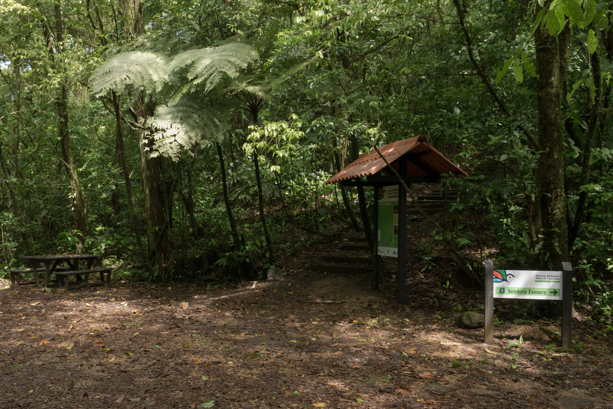 Área de descanso al inicio de los sendero Podocarpus y Zamora, parque nacional Altos de Campana, Panamá