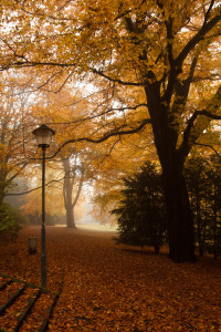 Un día de otoño y niebla en el parque municipal o Stadtpark de Bochum, Alemania
