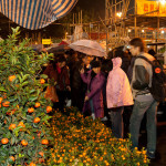 Naranjas y mandarinas en un mercado de flores de año nuevo chino, Hong Kong