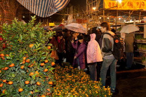 Naranjas y mandarinas en un mercado de flores de año nuevo chino, Hong Kong