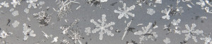 Copos de nieve sobre la superficie de un auto
