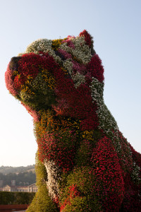 El Puppy de Jeff Koons, Bilbao, España