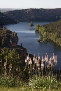 El parque natural de las hoces del río Duratón, provincia de Segovia, España