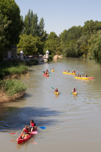 Mañana de piragüismo en el río Tajo a su paso por los jardines del Príncipe de Aranjuez, España.