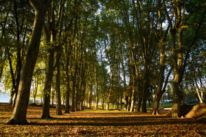 Jardín a orillas del río Doubs, Besanzón, Francia