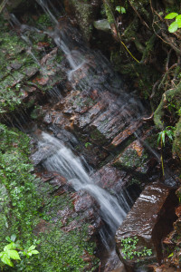 Una cascada den el Bosque Nacional El Yunque, Puerto Rico