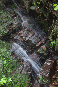 Una cascada den el Bosque Nacional El Yunque, Puerto Rico