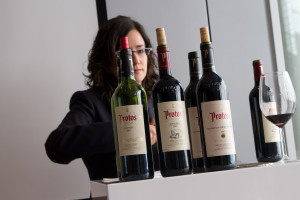 Cata en la bodega Protos, Peñafiel, España
