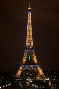 Espectáculo de luces nocturno de la Torre Eiffel, París, Francia