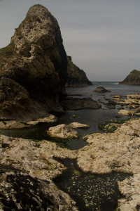 Rocas marinas en la Costa de la Calzada, Irlanda del Norte