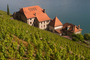 Viñedos y lago Léman, Chexbres, Suiza