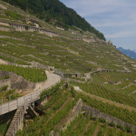 Fotos de la semana Nº 19, 2013: las terrazas de viñedos de Lavaux