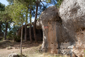 Lucha entre elefante y cocodrilo, Ciudad Encantada, Cuenca, España