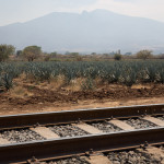 Ferrocarril y plantación de agave, Jalisco, México
