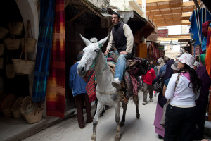 Transporte en burro en la medina de Fez, Marruecos