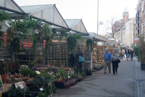 Bloemenmarkt o mercado de flores, Ámsterdam, Países Bajos