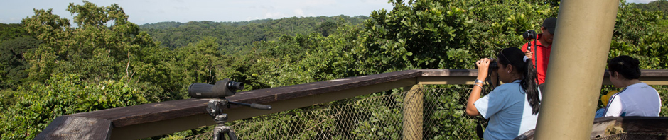 Visitantes en la torre de observación del Panama Rainforest Discovery Center