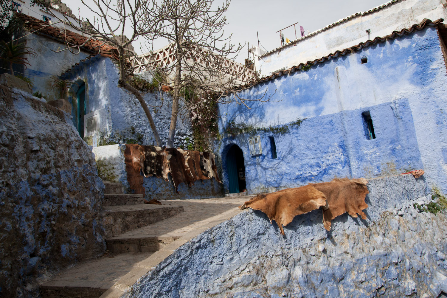 Casas azules en la medina de Chefchaouen, Marruecos