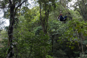 Adrenalina en el Canopy Adventure cerca del Chorro Macho, El Valle de Antón, Panamá