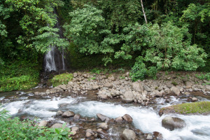 Sábado 1: Un arroyo y una pequeña cascada en el bosque lluvioso tropical de Costa Rica.