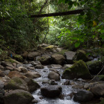 Viernes 31: Un puente de madera sobre un arroyo cerca del Chorro Macho, en El Valle de Antón, Panamá.