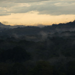 Miércoles 29: El bosque lluvioso tropical del Parque Nacional Soberanía, en Panamá, cubierto con neblina al amanecer.