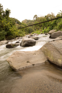 Domingo 2: Un río que atraviesa uno de estos bosques, junto con un puente de cuerdas en Volcán, Panamá.